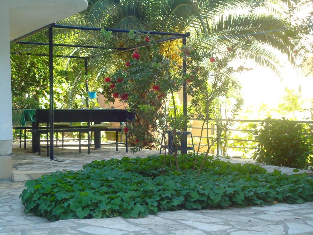 Apartments Villa Petranovic بودفا المظهر الخارجي الصورة