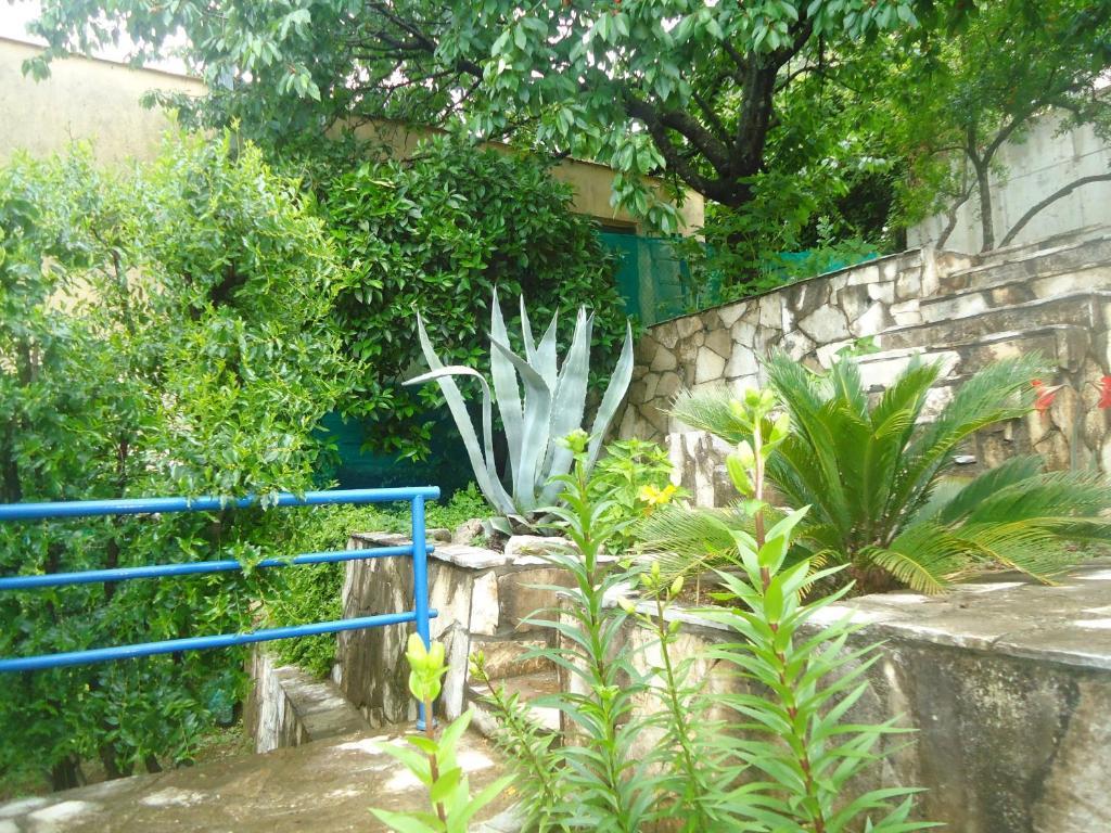 Apartments Villa Petranovic بودفا الغرفة الصورة