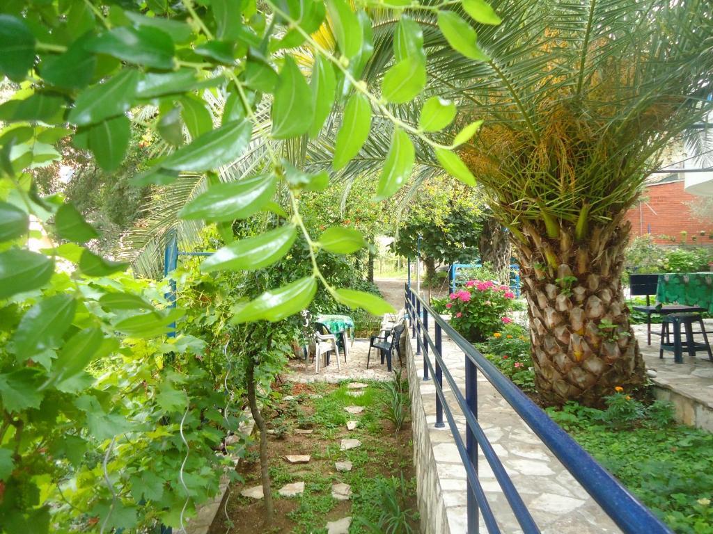 Apartments Villa Petranovic بودفا الغرفة الصورة